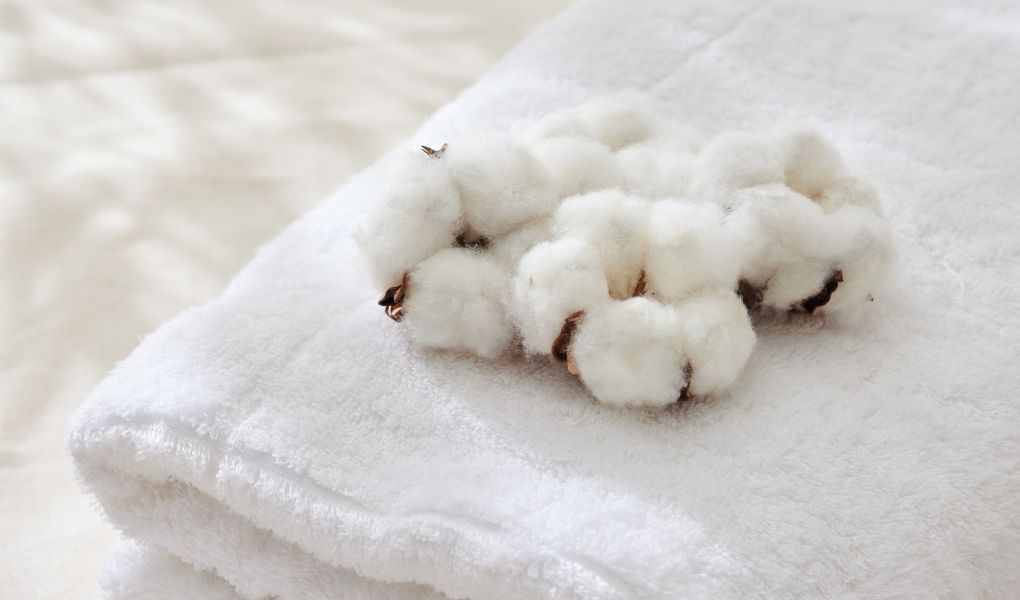 Quelle est la différence entre le coton et le coton biologique